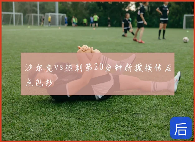 沙尔克vs热刺第20分钟新援横传后点包抄